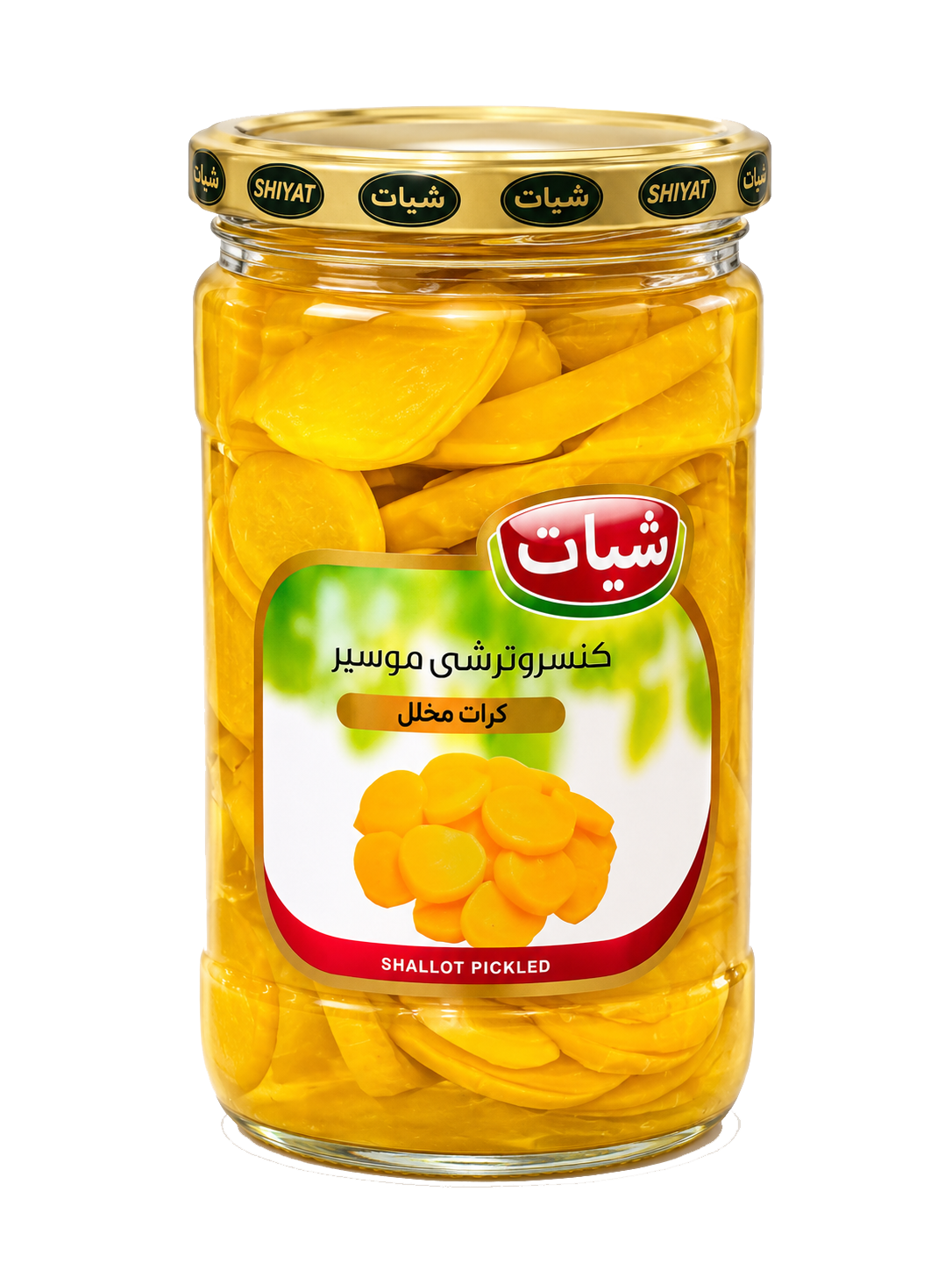 سير عجم